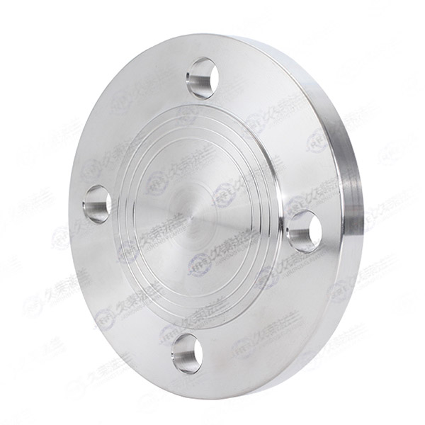 Blind flange - (1)